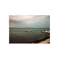 Revolog Streak Iso 200 35mm x 36exp Special Effect Color Film 2