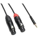 Samson Tourtek Pro 9 Breakout Cable - 1/8 TRS to Dual XLR Female 1