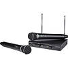 Samson Stage 200 Dual-Channel Handheld VHF Wireless System (Channel D)