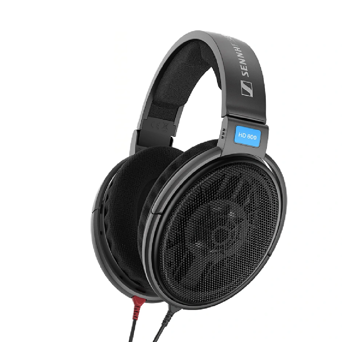 Open back earphones online
