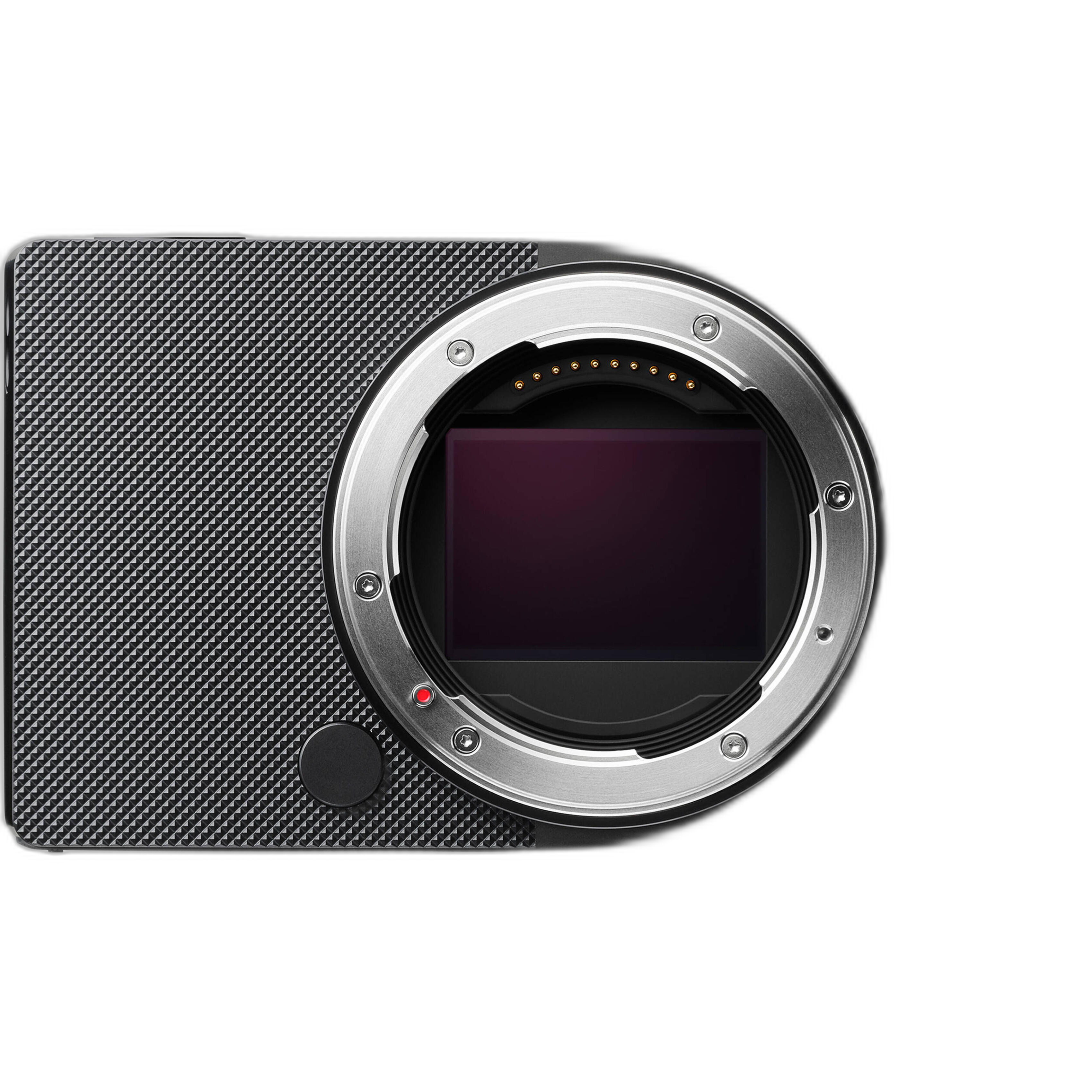 Sigma BF digital camera as a dedicated camera alternative to smartphone photography