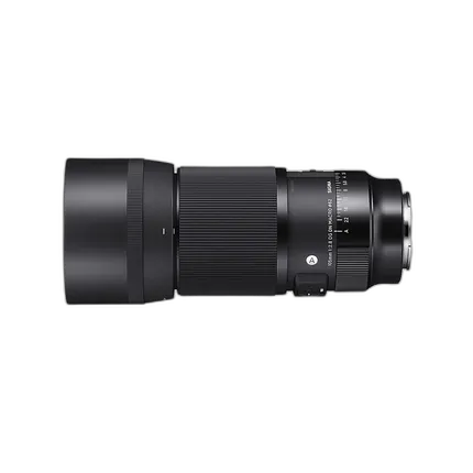 Sigma 105mm F2.8 Art DG DN Macro Lens (Sony E)