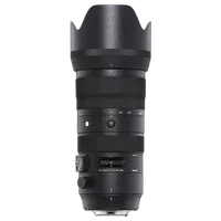 Sigma 70-200mm F2.8 Sports DG OS HSM Lens (Sigma) 2