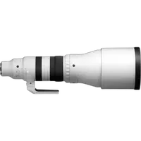 Sigma 300-600mm F4 DG OS Sports for Sony E 2