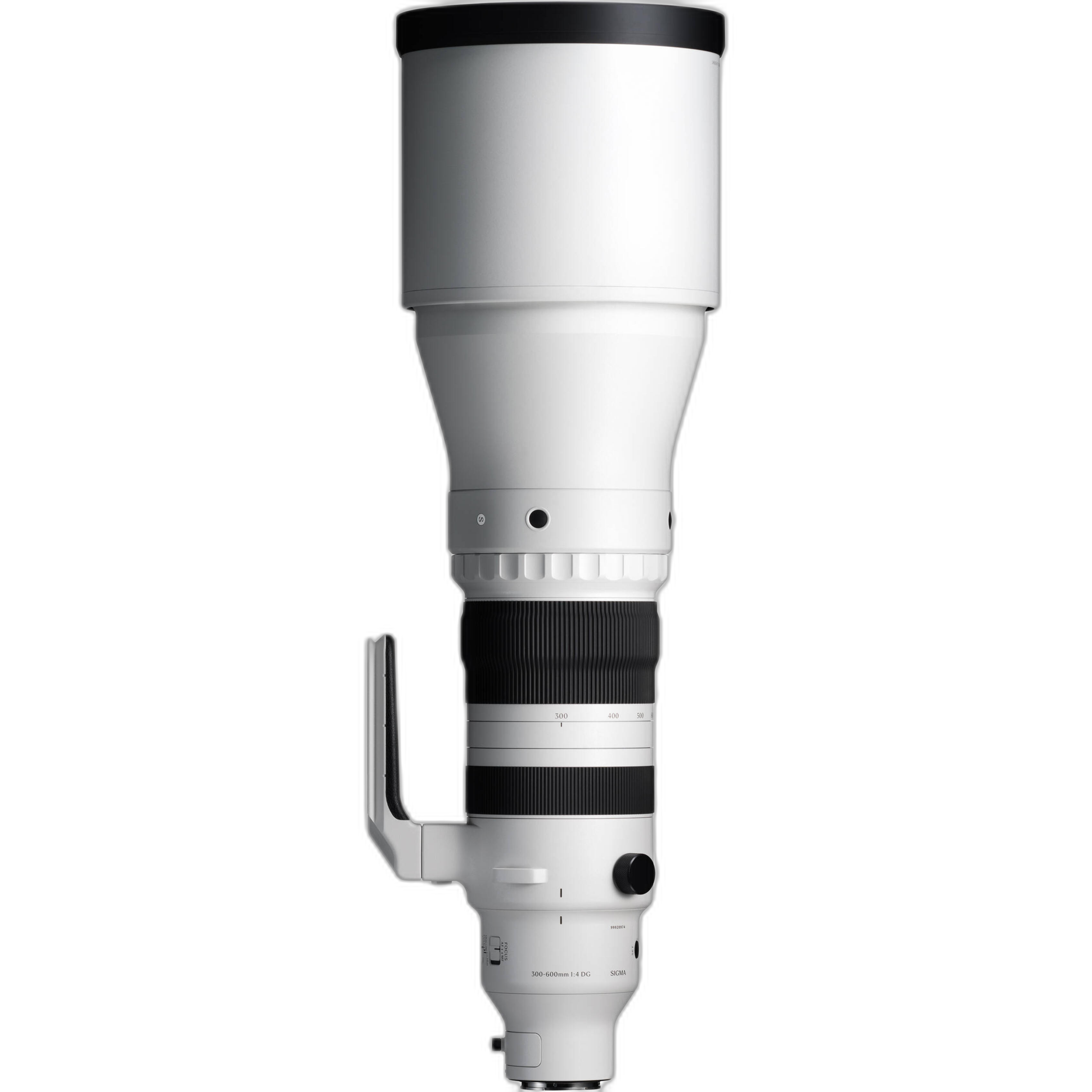 Sigma 300-600mm F4 DG OS Sports for Sony E