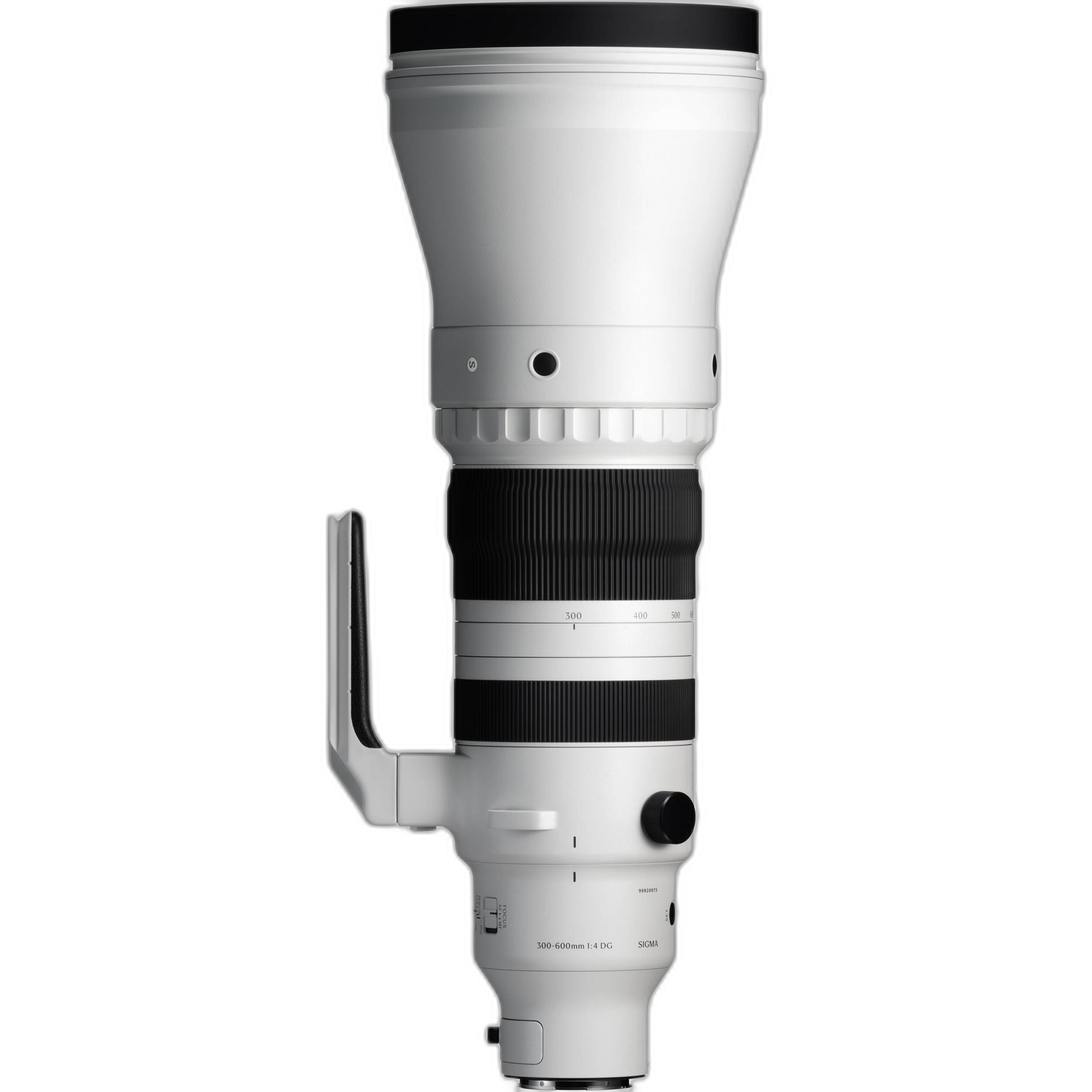 Sigma 300-600mm F4 DG OS Sports zoom detail
