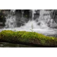 Sigma 28-105MM F2.8 DG DN ART for L Mount 1