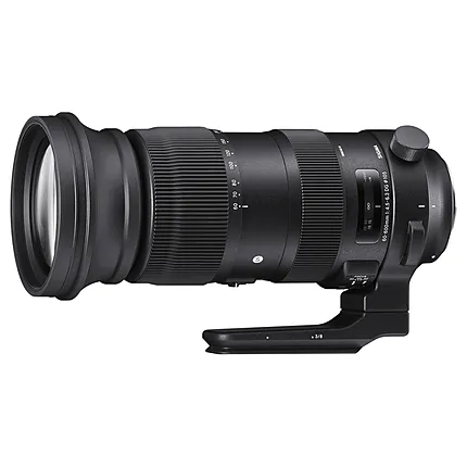 Sigma 60-600mm F4.5-6.3 DG OS HSM Sports Lens (Canon)