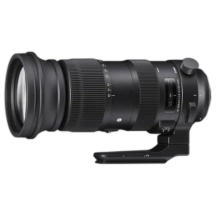 Sigma 60-600mm F4.5-6.3 DG OS HSM Sports Lens (Sigma)