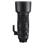Sigma 60-600mm f/4.5-6.3 Sports DG DN OS Lens (L-Mount)