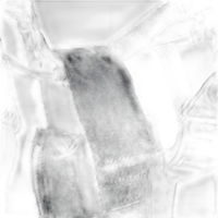 Smoke Ninja Smoke Vest 2