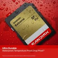 Sandisk Extreme 256GB V30 SD UHS-1 Card 4