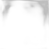 Savage Background 107x36 Super White 0