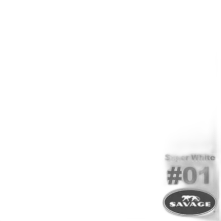 Savage 86X36 Super White Widetone Background