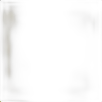 Savage 86X36 Sand Widetone Background 0