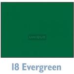 Savage Widetone Seamless Background Paper - 107in.x50yds. - #18 Evergreen