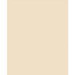 Savage Widetone Seamless Background Paper - 107in.x50yds. - #19 Egg Nog