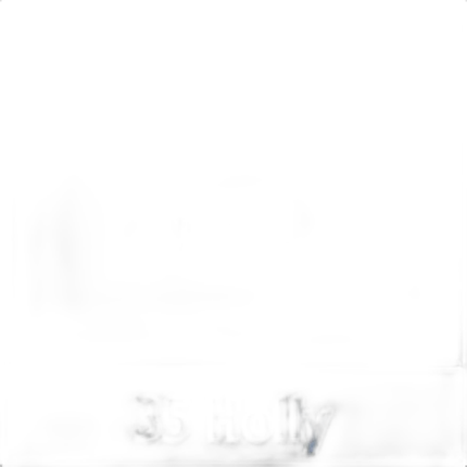Savage Background 107x36 Holly
