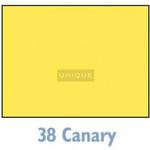 Savage Widetone Seamless Background Paper - 107in.x50yds. - #38 Canary