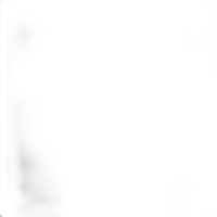 Savage 86X36 Canary Widetone Background 0