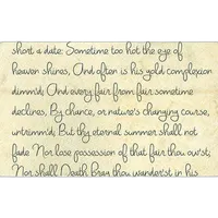 Savage 53X18 Printed Background - Romantic Script 0