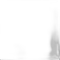 Savage Background 107x36 Pure White 0