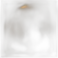 Savage Background 53x36 Mocha 0