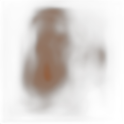 Savage 86X36 Cocoa Widetone Background