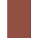 Savage Widetone Seamless Background Paper - 107in.x50yds. - #81 Rustic