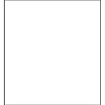 Savage 10x10 Infinity Lint Free ProCloth Background (ProWhite)