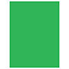 Savage 10x10 Infinity Lint Free ProCloth (ProChroma Green)
