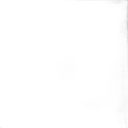 Savage Infinity Vinyl Background 5 x 7 Chroma Green
