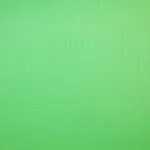 Savage Infinity Vinyl Background 10 x 10 Chroma Green 0