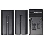 Savage BNP-F750 2 Pack Lithium Ion Battery with Charger 0