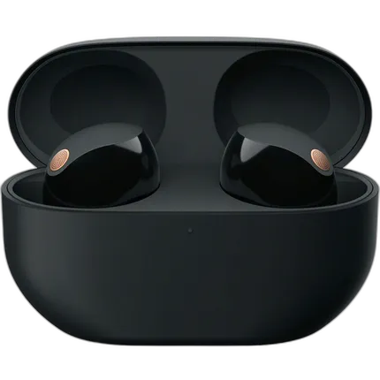 Sony WF-1000XM5 True Wireless Noise-Canceling Earbuds (Black)