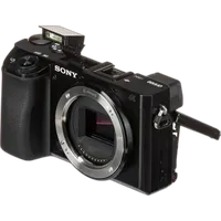 Sony Alpha 6100 APS-C Mirrorless Camera with 16-50mm II and 55-210mm Lenses 3