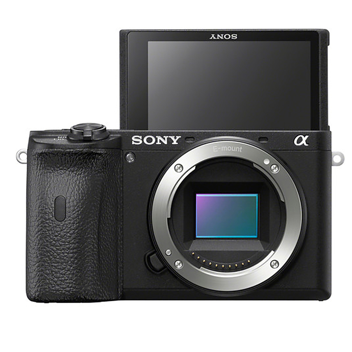 Sony Alpha a6600 Mirrorless Digital Camera (Body Only)