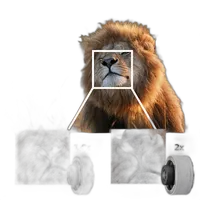 Sony FE 600mm F4.0 GM OSS Lens 7