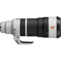Sony FE 100-400mm F4.5 GM OSS Lens 1