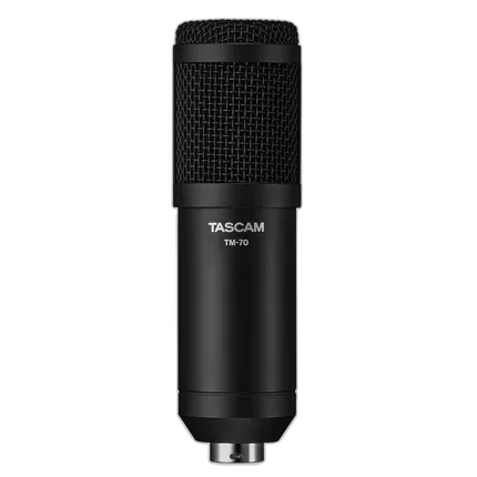 Tascam TM-70 Dynamic Broadcast Microphone