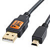 TetherPro USB 2.0 Male to Mini-B 5 pin 1FT BLK
