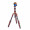 3 Legged Thing Pro 2.0 Leo  and  AirHed Pro LV Bronze
