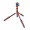3 Legged Thing Pro 2.0 Leo  and  AirHed Pro LV Bronze