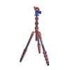 3 Legged Thing Pro 2.0 Albert  and  AirHed Pro Bronze