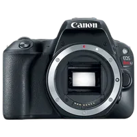 Used Canon SL2 w/ 18-55mm STM - Excellent 8