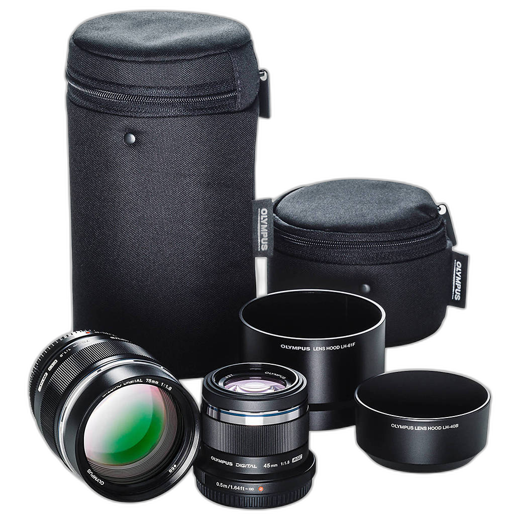 Used Olympus M.Zuiko Digital 17mm f/1.8 lens for environmental portraits