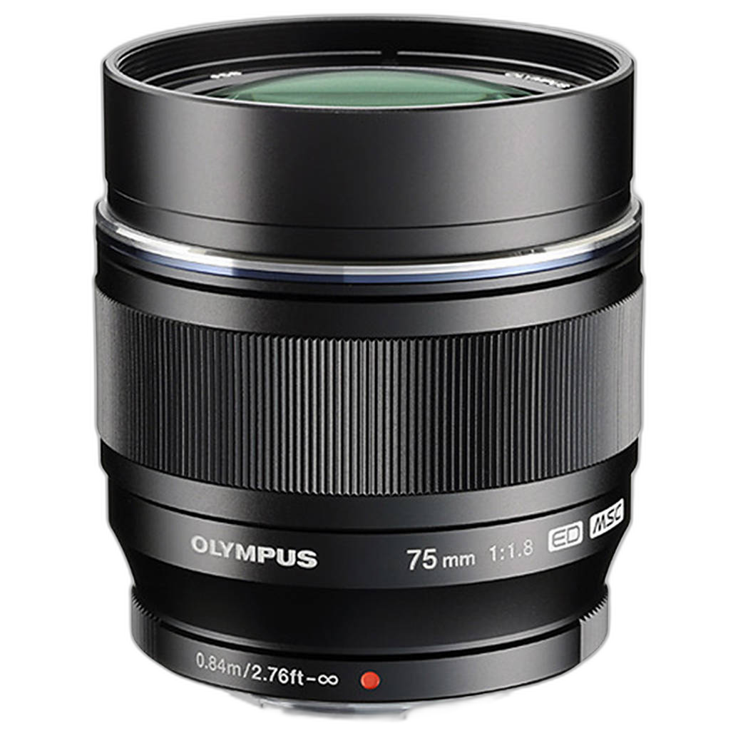 Starter Lens Kit FAQ for Travel and Portrait Photography