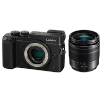 Used Panasonic GX8 w/ 12-60mm f/3.5-5.6 - Excellent 2