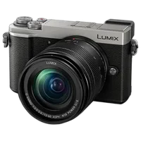 USED EXCELLENT CONDITION GX9 SILVER W/12-60MM 0
