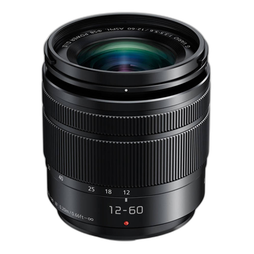 Used Panasonic LUMIX 12-60mm f/3.5-5.6 lens